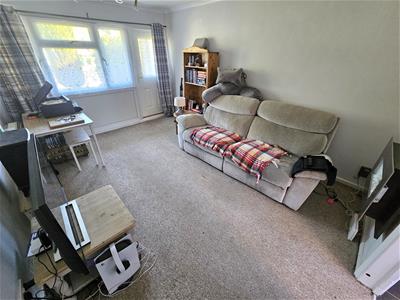 Picture 3